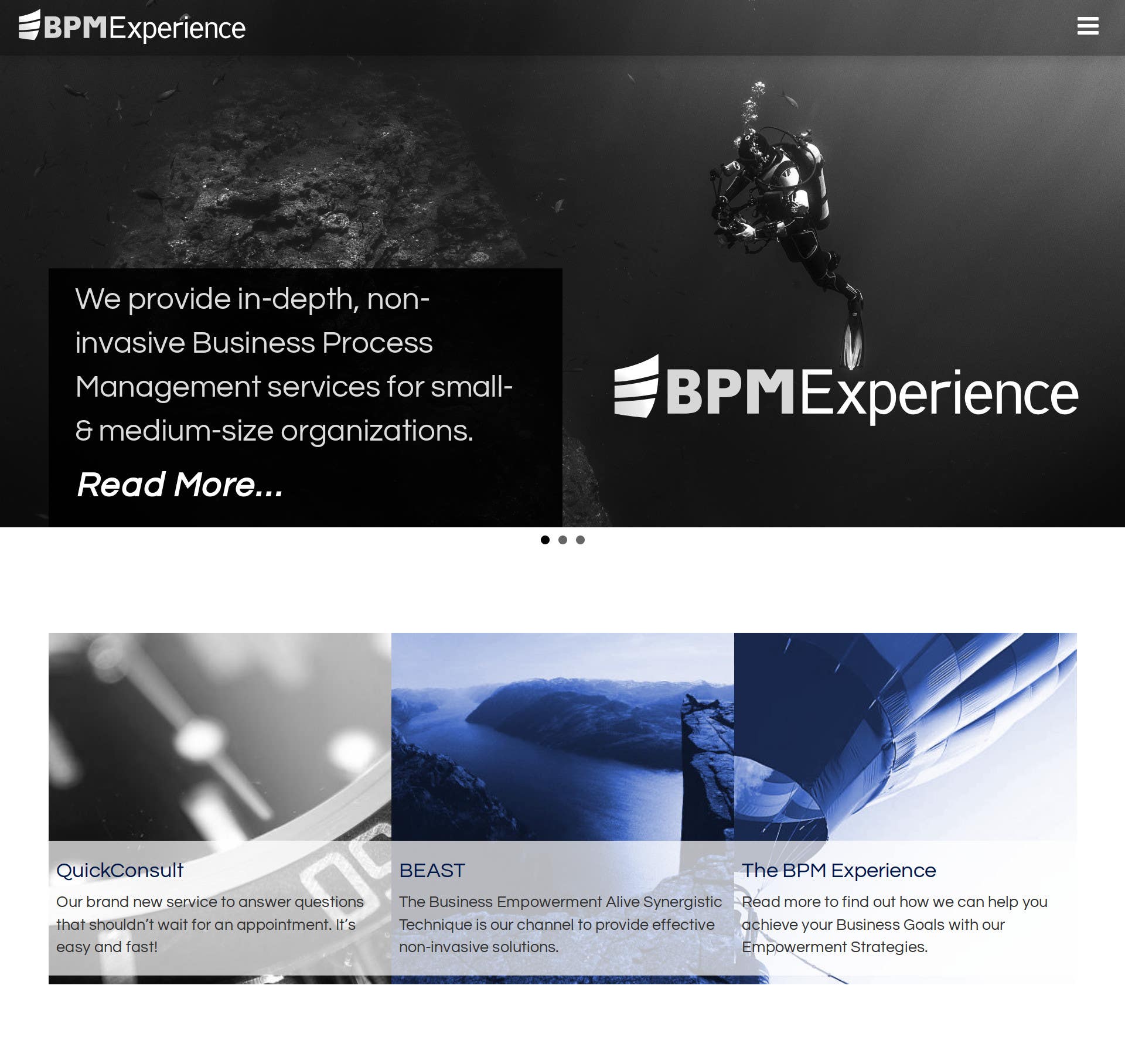 BPM Experience's WordPress Website preview 1